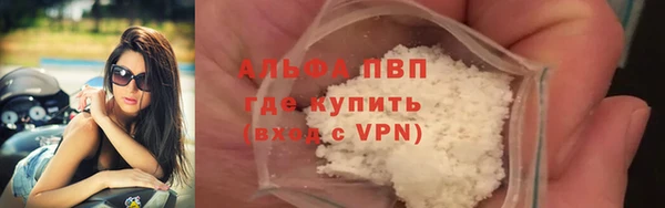 СК Алексин