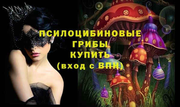 СК Алексин