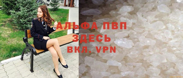 СК Алексин