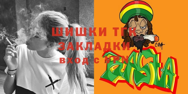 СК Алексин