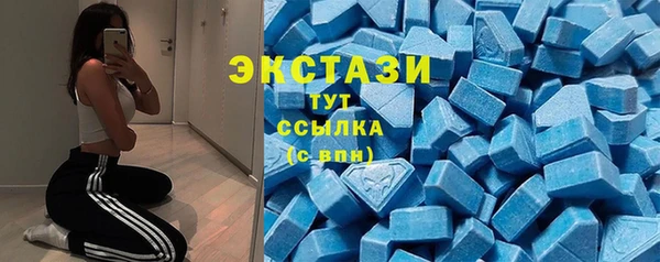 СК Алексин