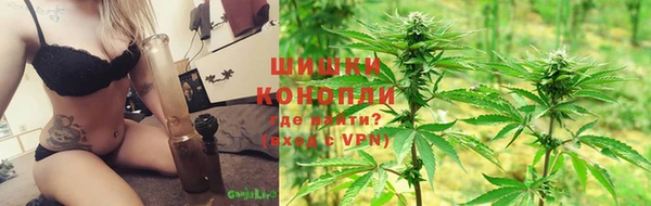 стафф Алзамай