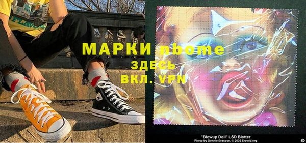 стафф Алзамай