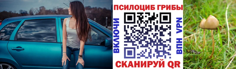 Галлюциногенные грибы Psilocybine cubensis Усинск